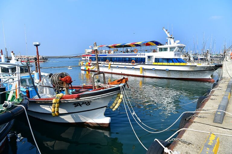 [Jeju] Hallim Port (한림항)