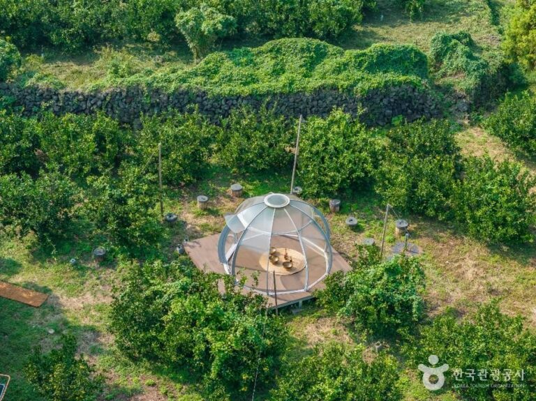 [Jeju] Jewon Haneul (제원 하늘농원)