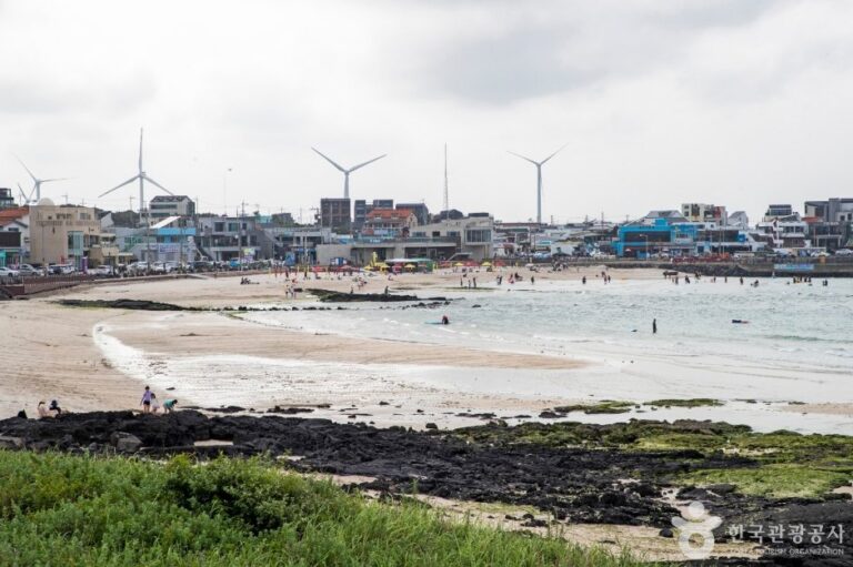 [Jeju] Woljeongri Beach (월정리해변(월정리해수욕장))