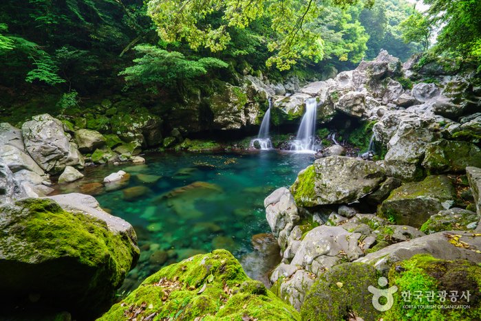 [Jeju] Donnaeko Resort (Wonangpokpo Falls) (돈내코(원앙폭포))