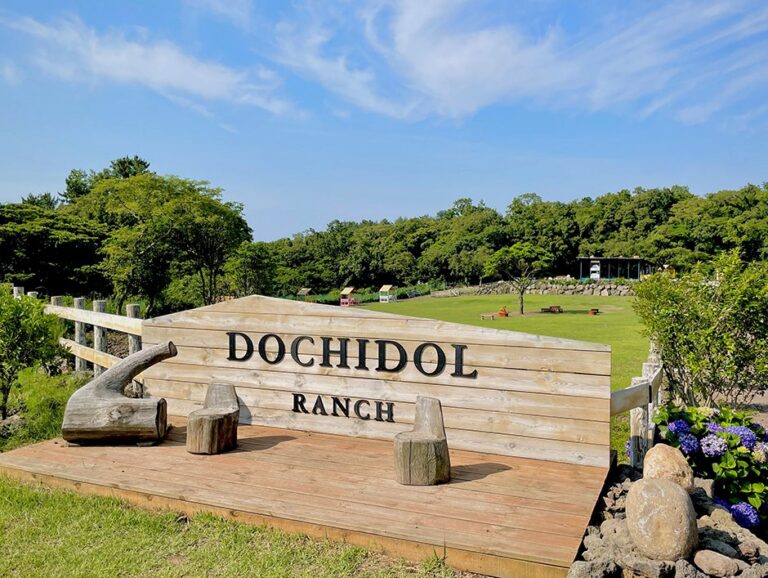 [Jeju] Dochidol Ranch (도치돌 알파카목장)