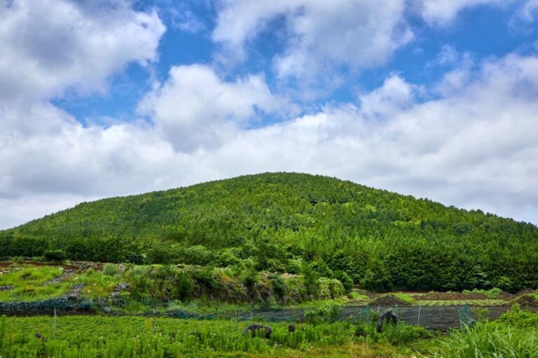 [Jeju] Dotoreum Parasitic Cone (돛오름(돝오름))