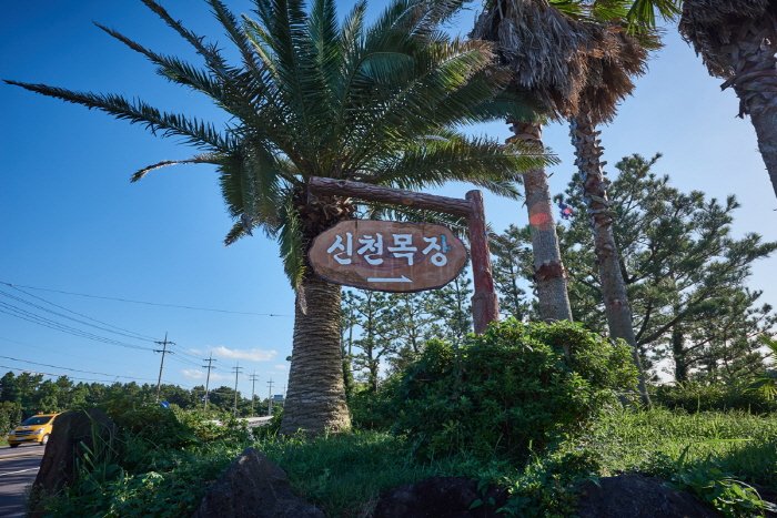 [Jeju] Sinpung Sincheon Seaside Ranch (신풍 신천 바다목장)