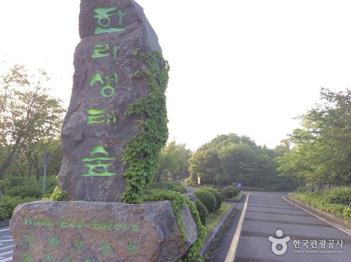 [Jeju] Halla Ecological Forest (한라생태숲)