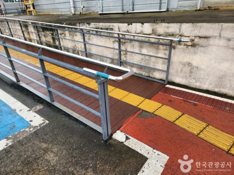 [Jeju] Arte Museum Jeju (아르떼뮤지엄 제주)