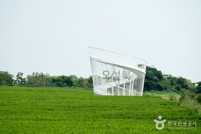 [Jeju] O’sulloc Tea Museum (오설록 티뮤지엄)