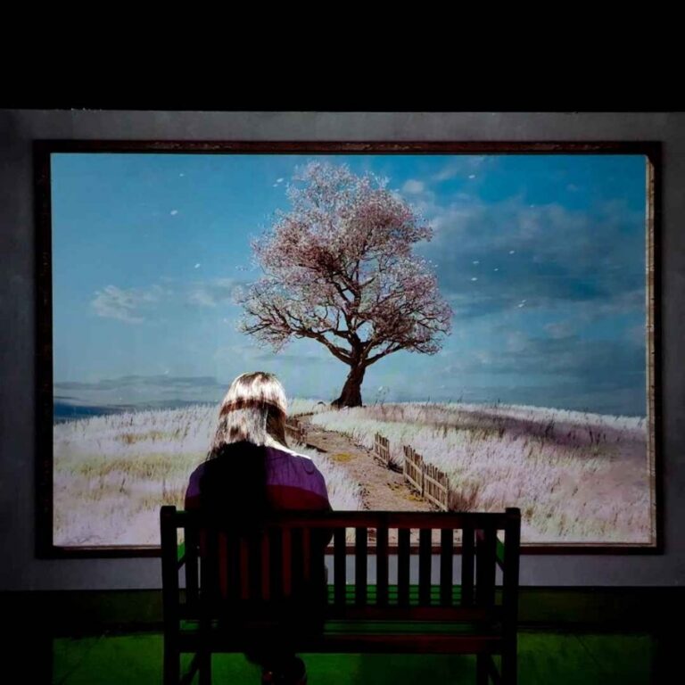 [Jeju] Jeju Holic Museum (제주홀릭뮤지엄)