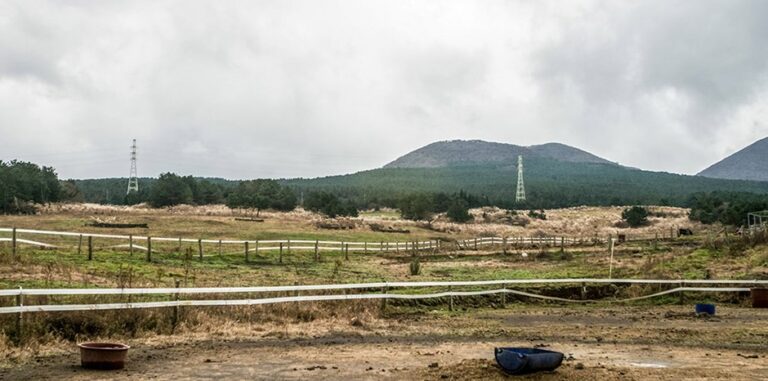 [Jeju] Jokeunnokkome Oreum Volcanic Cone (족은노꼬메오름)