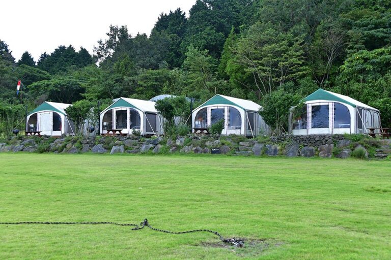 [Jeju] Jeju Best Hill (제주베스트힐)