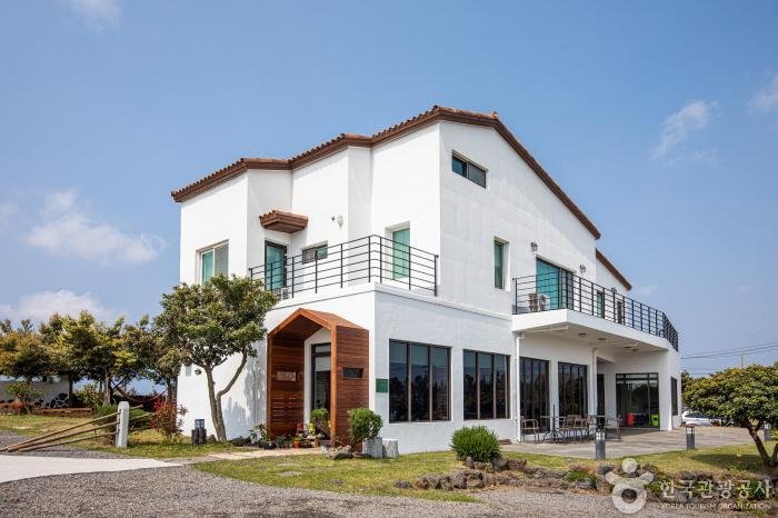 [Jeju] Tilda House (틸다하우스)