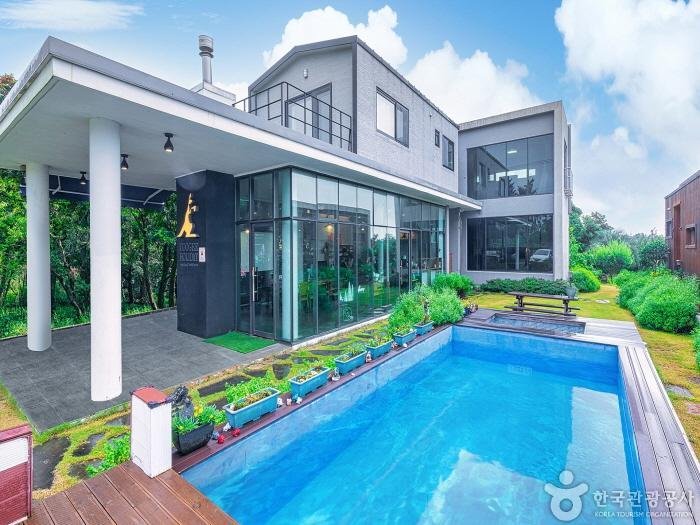 [Jeju] Coogee Holiday (쿠지홀리데이)